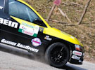lavanttal02gassner jnr.jpg